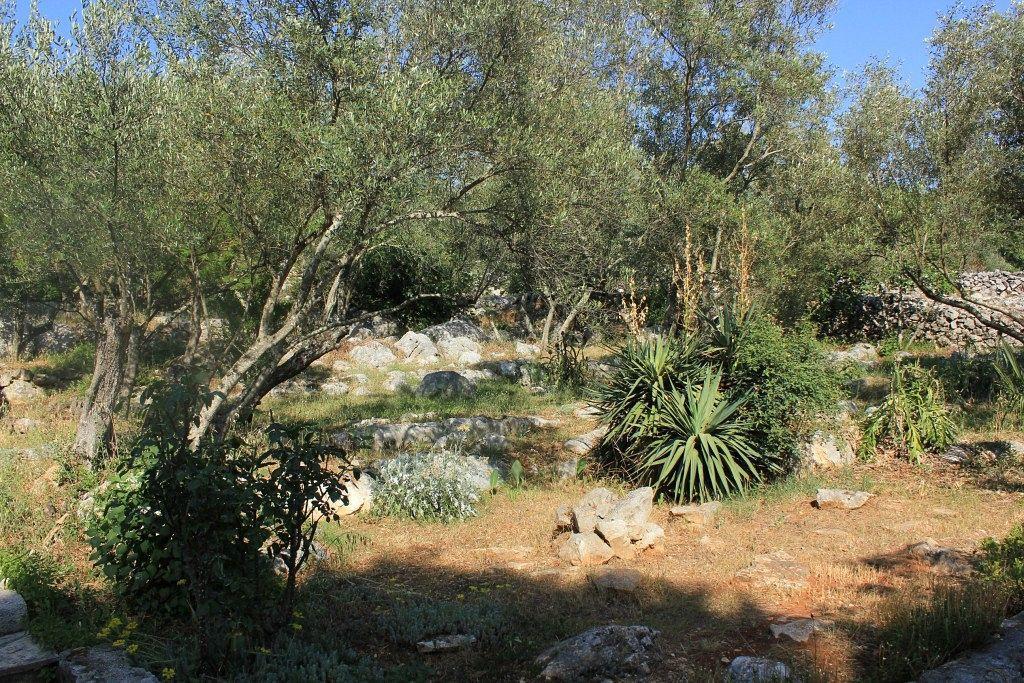 Secluded Fisherman'S Cottage Cove Magrovica - Telascica, Dugi Otok - 8142 Sali Luaran gambar